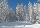 Rando en raquettes  neige Valberg Mercantour - Fabrice HENON Accompagnateur en Montagne
