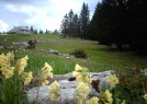 Haut Doubs : ferme de la Jaique